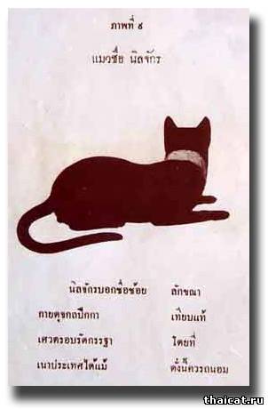 Девятая Кошка NI-LA-CHAK (янтарная с ожерельем) 